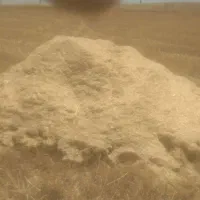 کاه  گندم سفید