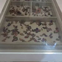 میز کشودار و عسلی