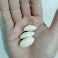 مهره های اصل