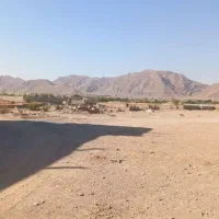 قیمتکارشناسی متری9 ولی به دلیل مشکل مالی 6میدم|فروش زمین و ملک کلنگی|نجف‌آباد, صالح آباد|دیوار