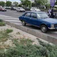 پژو ۵۰۴ ال