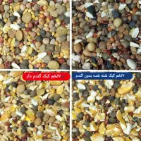 انواع دان ۷تخم کبک کبوتر پرنده و ملزومات