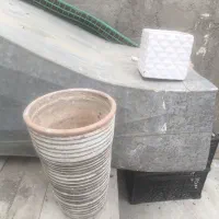 گل زیبا|گل و گیاه طبیعی|قم, قلعه عموحسین|دیوار