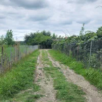 فروش زمین /مزرعه ۸۲۰۰ /مترمربع/ خاصه سرا/جماکو|فروش زمین و ملک کلنگی|تالش, هشتپر|دیوار