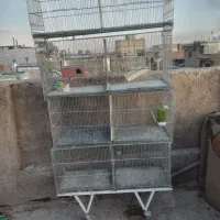 قفس غلامی|لوازم جانبی حیوانات|شیراز, کوشک میدان|دیوار
