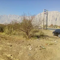 باغ گردو ومیوه پل چهر روبروی باربری نوروزی|فروش دفتر صنعتی، کشاورزی، تجاری|بیستون, |دیوار