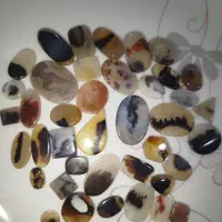 سنگ شجر مصور