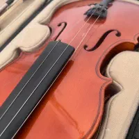 ویلون لوکتو ۱۹۹|ویولن|تهران, کوی بیمه|دیوار