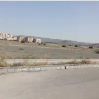 زمین-در-سجادیه