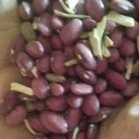 فروش لوبیا قرمز|عمده‌فروشی|فامنین, |دیوار