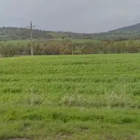 زمین مزارعی