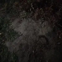 زمین-مسکونی-74متری-کیکاور