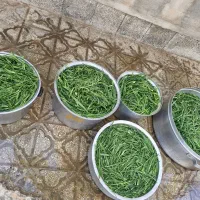 سبزی خورشتی|خوردنی و آشامیدنی|تهران, نیروی دریایی|دیوار