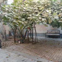 واحد ۲۵ متری شهریار کهنز|اجارهٔ آپارتمان|شهریار, کهنز|دیوار