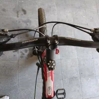 دوچرخه فونیکس 29