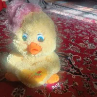 عروسک خرسی|اسباببازی|شیراز, کوشک میدان|دیوار