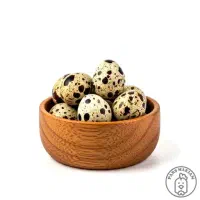 فروش تخم بلدرچین