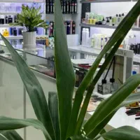 واگذاری فروشگاه آرایشی بهداشتی