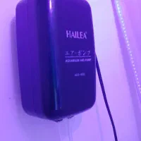 اکواریوم با ماهی و تجهیزات کامل|ماهی|پاکدشت, شهرک امام رضا|دیوار