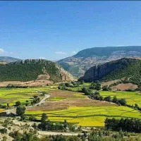 فروش زمین روستای نیالا|فروش زمین و ملک کلنگی|گلوگاه, |دیوار