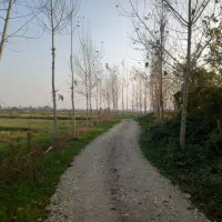 فروش۱۶هزارمتر زمین کشاورزی سنتی بر جاده