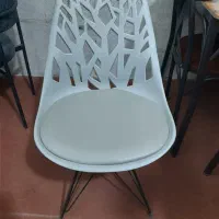 صندلی کارولین تشک مشکی کد ۹. مجموعه بزرگ دوستان|کافیشاپ و رستوران|حمیدیا, |دیوار