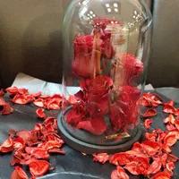 هدیه باکس گل رز جاودان طرح دیو و دلبر|گل و گیاه طبیعی|تهران, فردوسی|دیوار