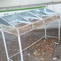 طبق میوه استهبان