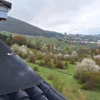 اجاره ویلا روزانه وشبانه دامنه جنگل .نزدیک فروشگاه|اجارهٔ کوتاه‌مدت ویلا و باغ|کلاردشت, |دیوار