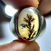 انگشتر شجر تشخیص