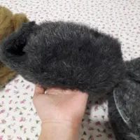کلاه فرانسوی مردانه