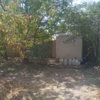 فروش باغ ۱۰۰۰ متری روستای  فشند|فروش زمین و ملک کلنگی|کرج, شاهین‌ویلا|دیوار
