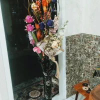 ی عدد گلدان همراه گل