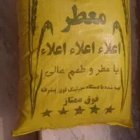 برنج عنبربو شوشتر