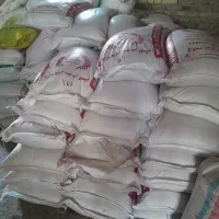 گندم بذرتکتاز