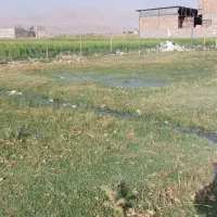 100مترزمین کارگر 9روبه رودامداری 2طبقه