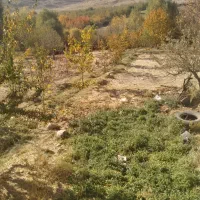 فروش پونصد متر زمین فروشی|فروش زمین و ملک کلنگی|چیتاب, |دیوار