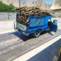 خرید انواع چوب در خانه و باغ بصورت نقد