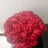 گل رز|گل مصنوعی|صدرا-فارس, فاز ۱|دیوار