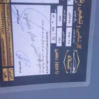 پژو ۴۰۵ دوگانه سوز کارخانه مدل ۸۸
