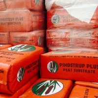 پیتماس پینداستراپ