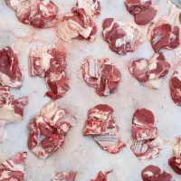 گوسفند زنده قلم آبی تنظیم بازار وتعاونی/خونی|حیوانات مزرعه|مشهد, کشاورز|دیوار