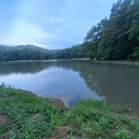 ۳۰۰ متر زمین مسکونی محدوده سقالکسار