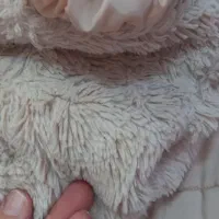 کاپشن بچه گانه کرم رنگ|کفش و لباس بچه|تهران, شمشیری|دیوار