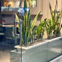 واگذاری کافه صبحانه به صورت یکجا با تجهیزات|اجارهٔ مغازه و غرفه|بندرعباس, |دیوار