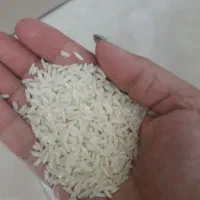 برنج طارم