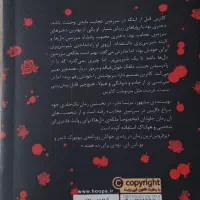 رمان سنگدل|کتاب و مجله ادبی|گلپایگان, |دیوار
