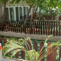 پانسیون حیوانات خانگی