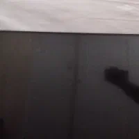 تلوزیون  هوریون