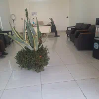 اجاره مغازه تجاری44متری / املاک فورته/forte